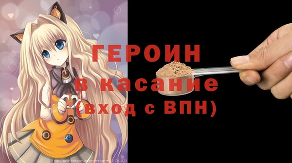 индика Протвино