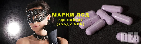 индика Протвино