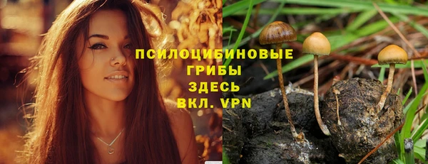 спайс Майский